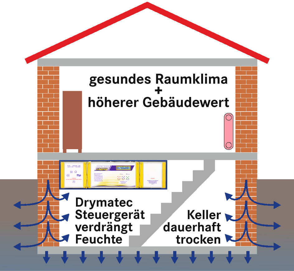 Professionelle Trockenlegung feuchter Wände